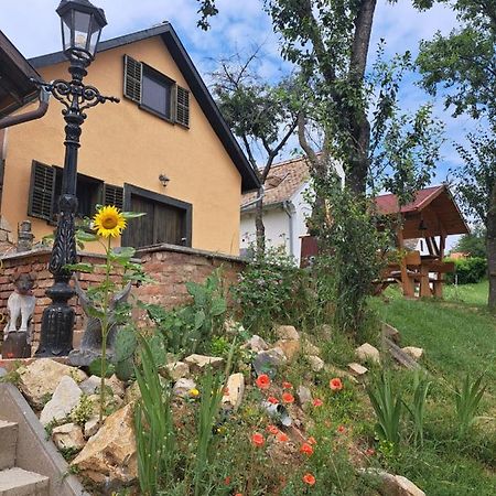 Macskajaj Vendeghaz Villa Mecseknádasd Buitenkant foto