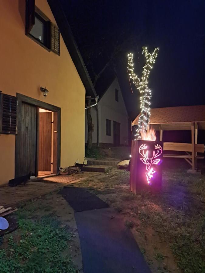 Macskajaj Vendeghaz Villa Mecseknádasd Buitenkant foto