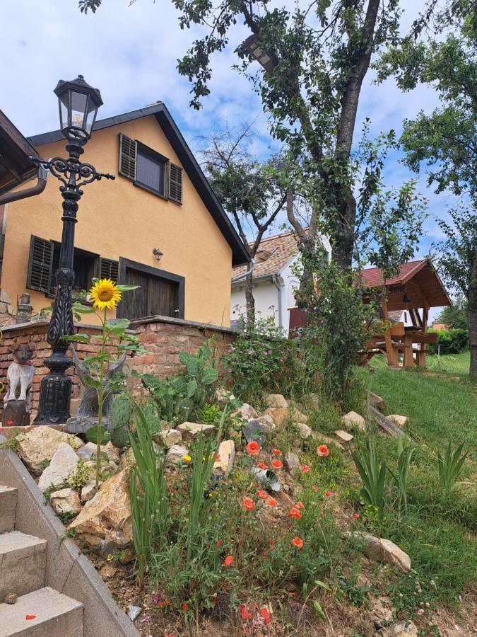 Macskajaj Vendeghaz Villa Mecseknádasd Buitenkant foto
