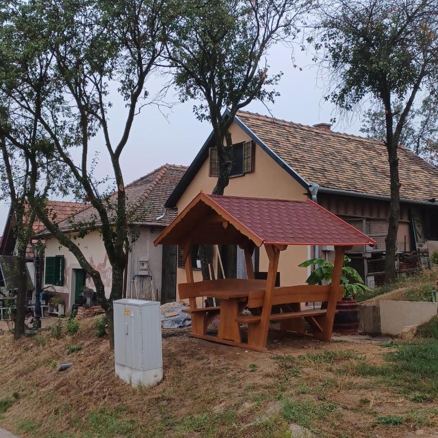 Macskajaj Vendeghaz Villa Mecseknádasd Buitenkant foto